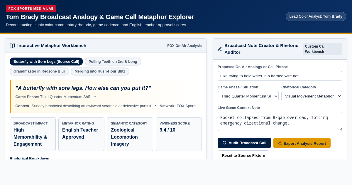 Tom Brady Broadcast Analogy & Game Call Metaphor Explorer preview