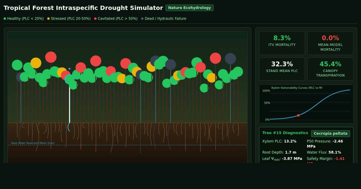 Tropical Forest Intraspecific Drought Resistance Simulator preview