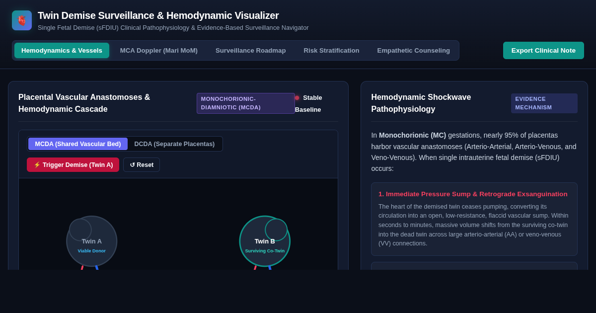 Twin Demise Surveillance & Hemodynamic Visualizer (sFDIU) preview