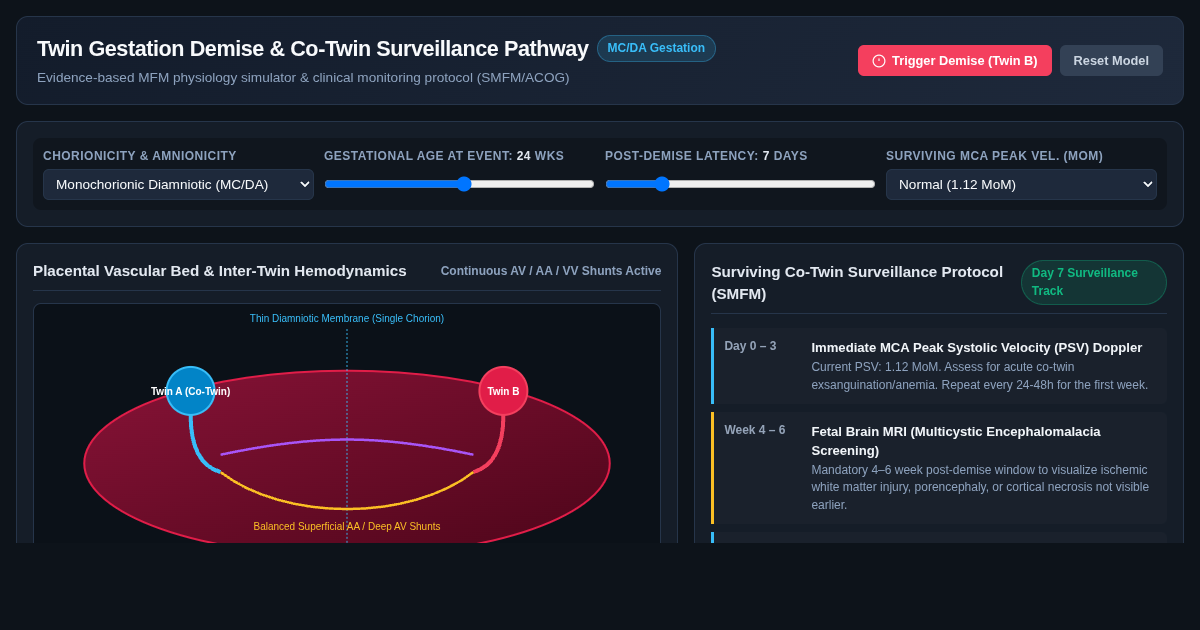Twin Gestation Single Demise & Co-Twin Surveillance Pathway preview