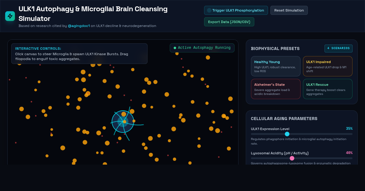 ULK1 Autophagy & Microglial Brain Cleansing Simulator preview
