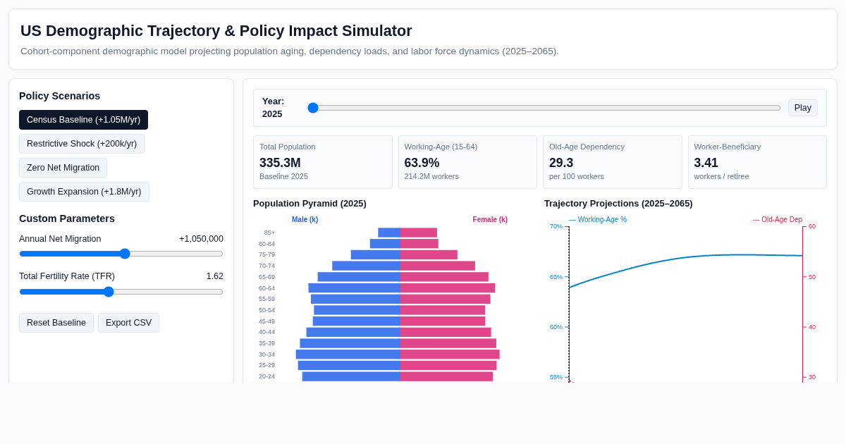US Demographic Trajectory & Policy Impact Simulator preview