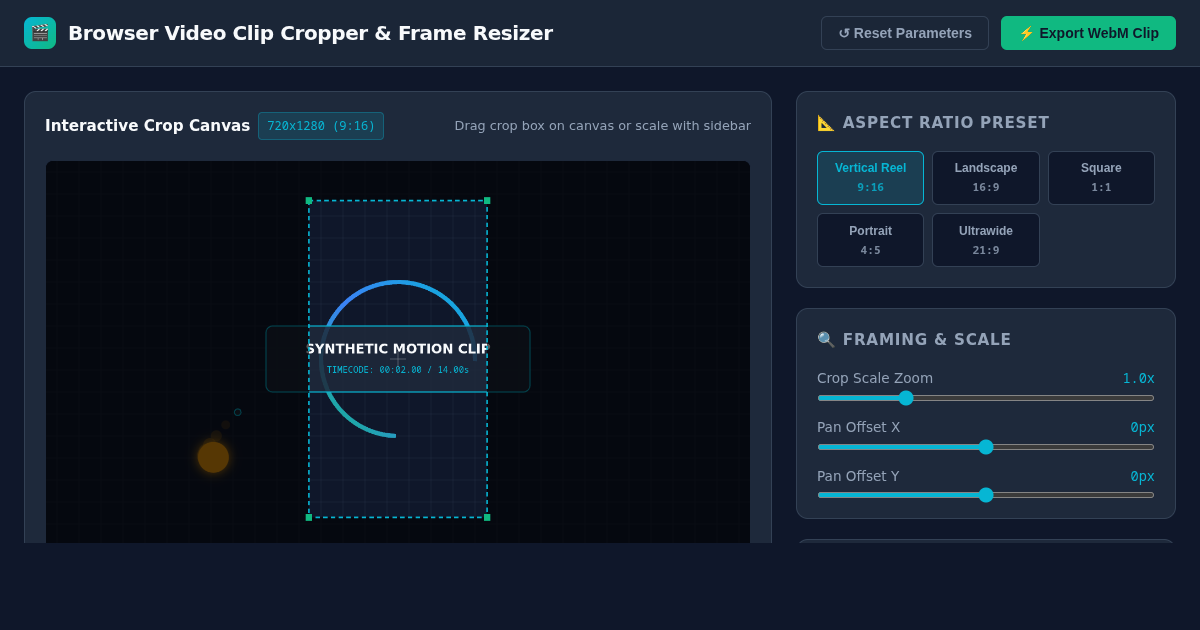Browser Video Clip Cropper & Frame Resizer preview