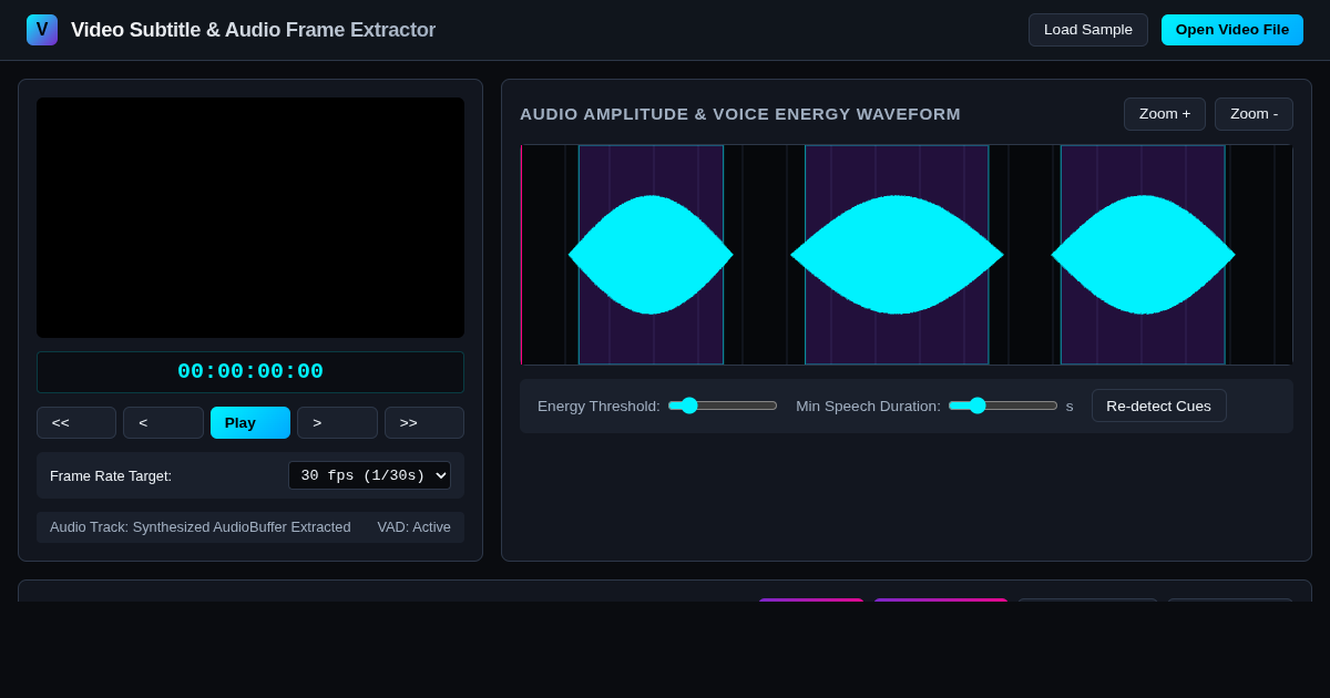 Video Subtitle & Audio Frame Extractor preview