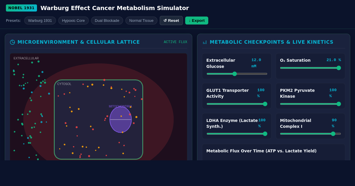 Warburg Effect Cancer Metabolism Simulator preview