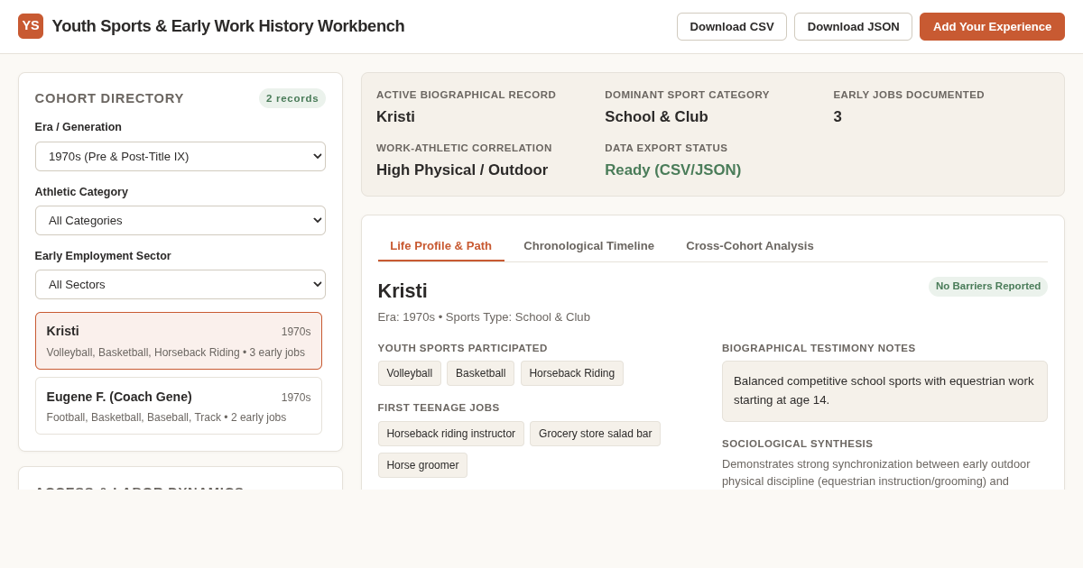 Youth Sports & Early Work History Timeline & Analytics Workbench preview