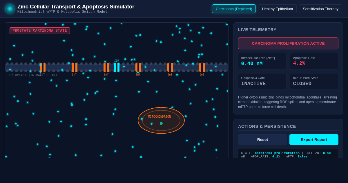 Zinc Cellular Transport & Apoptosis Simulator preview